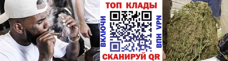 Купить закладку Гашиш  Кокаин  Alpha PVP  Каннабис  Меф  Алдан