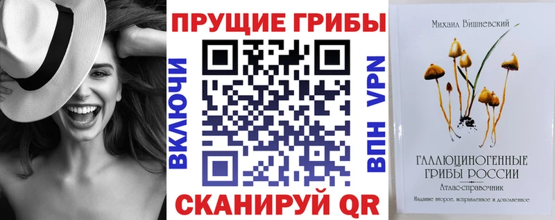 Купить  Алдан  Галлюциногенные грибы мицелий 
